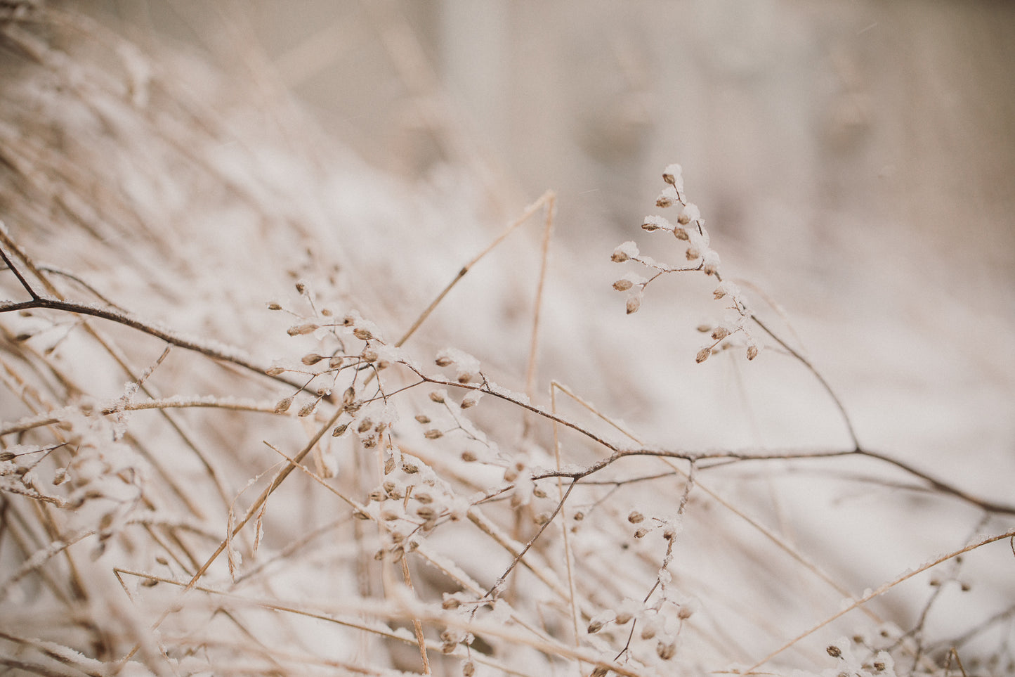 Observations: Knits and Essays from the Forest - signiert