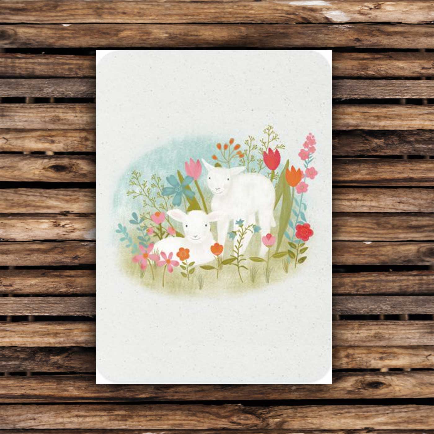 Postkarte "Zwei Lämmer"