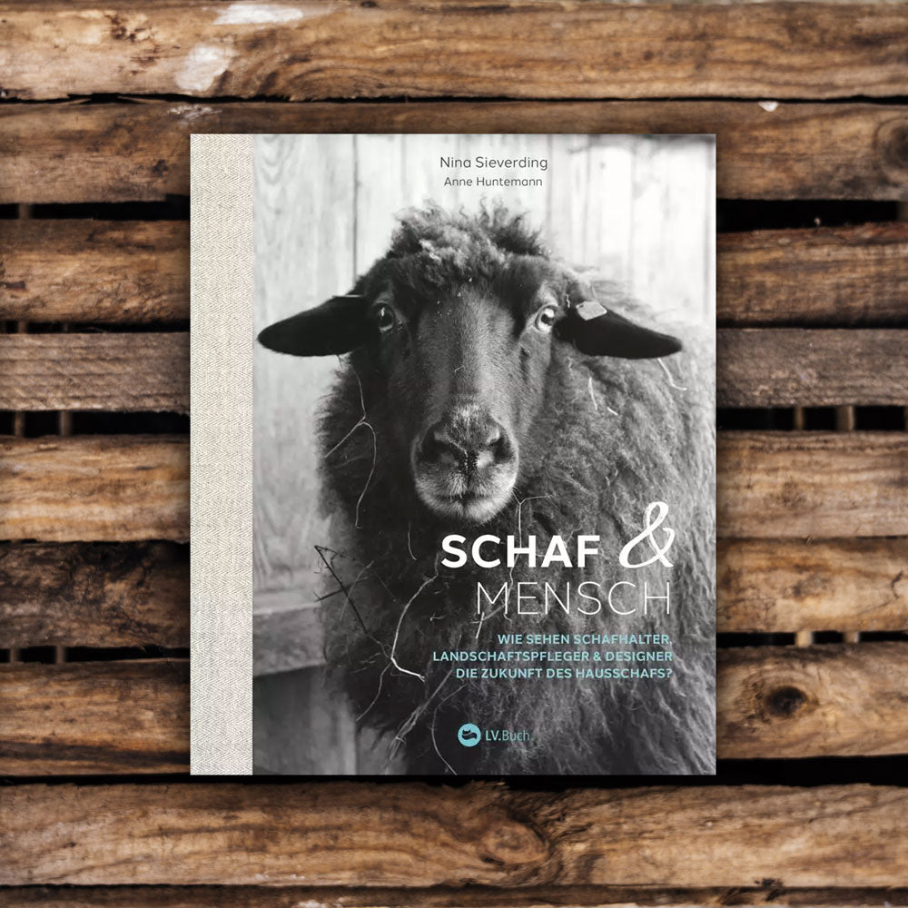 Schaf & Mensch
