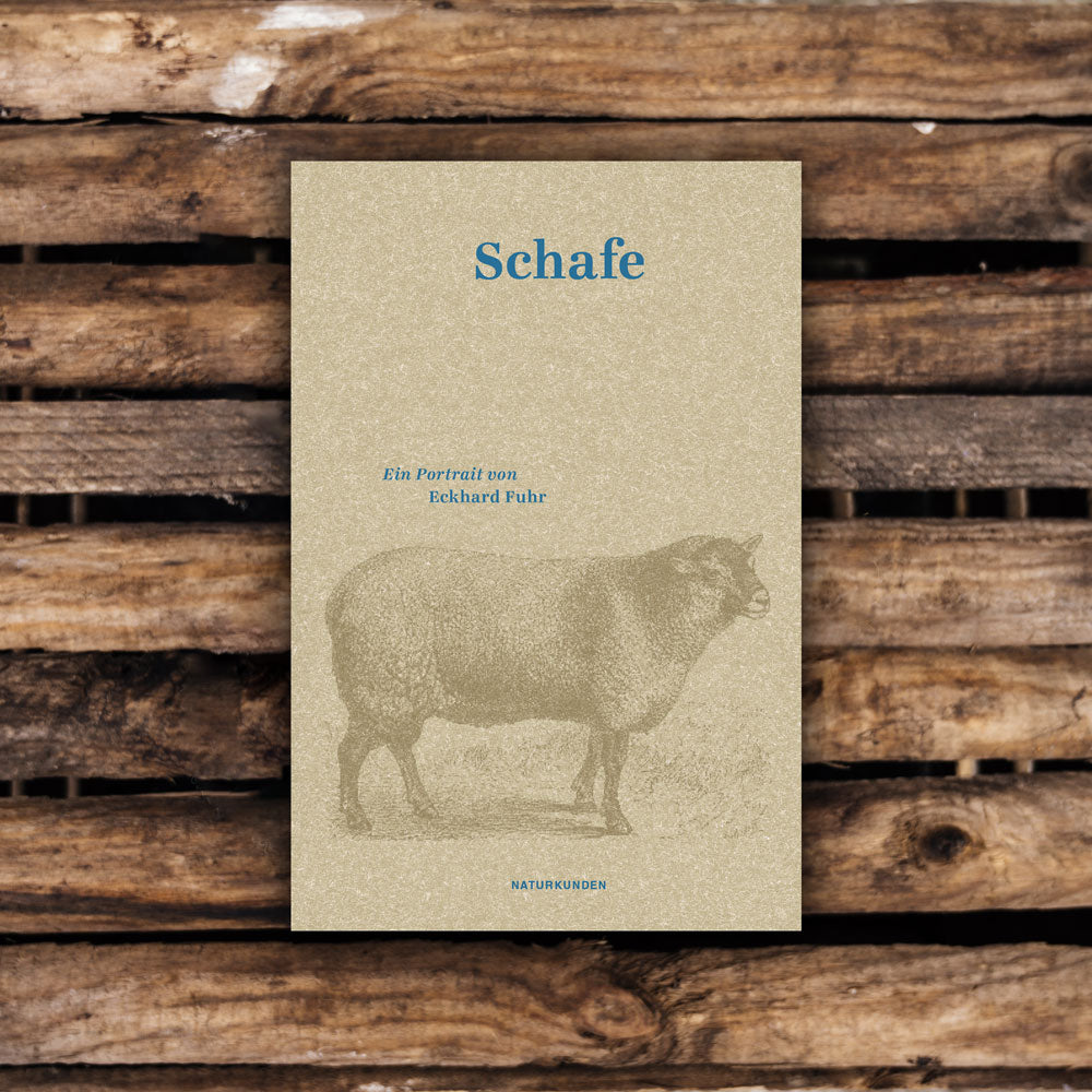 Schafe