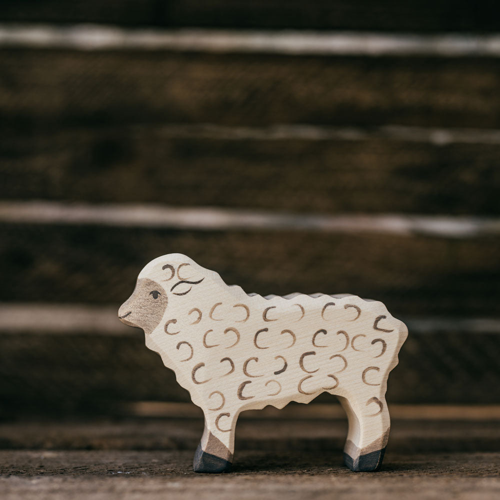 Schaf stehend - Holztiger - calling sheep - Sassnitz Insel Rgen Schaf stehend - Holztiger - calling sheep - Sassnitz Insel Rgen