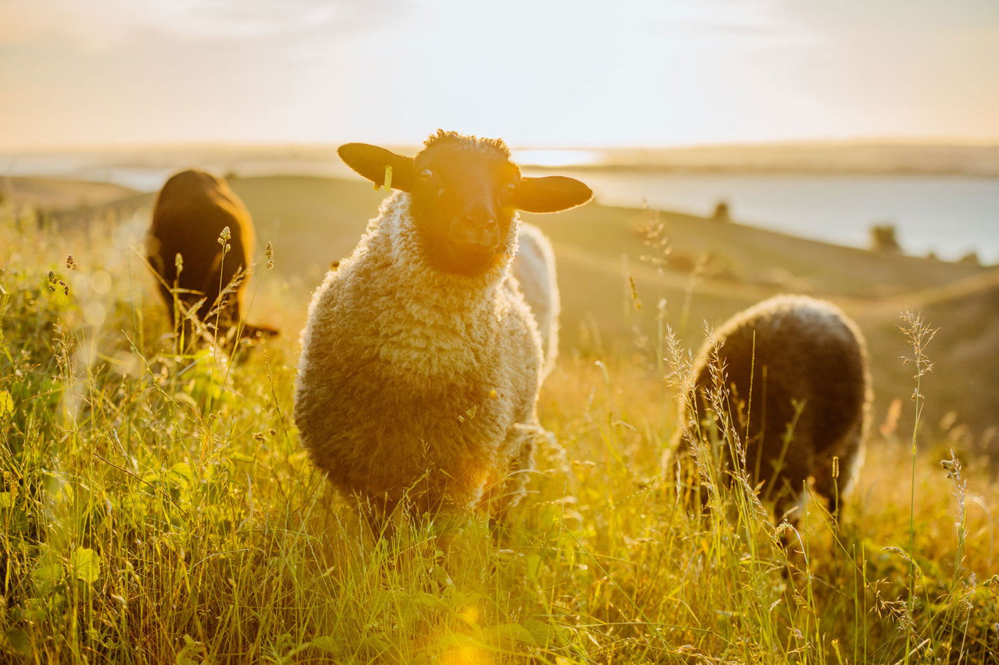 Pommernglück Retreat with Chris Berlin