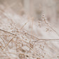 Observations: Knits and Essays from the Forest - signiert