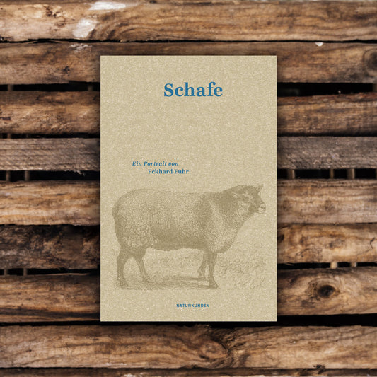 Schafe