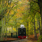 Stricken im "Rasenden Roland"